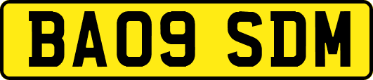 BA09SDM