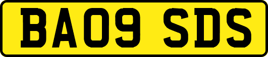BA09SDS