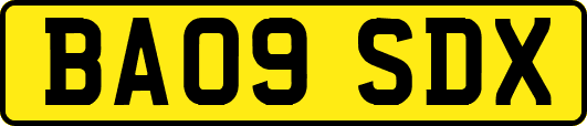 BA09SDX
