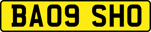 BA09SHO