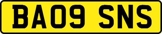 BA09SNS