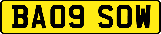 BA09SOW