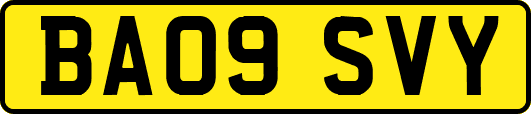 BA09SVY