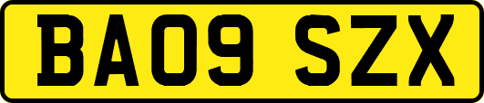 BA09SZX