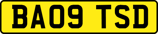 BA09TSD
