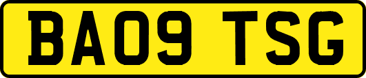 BA09TSG