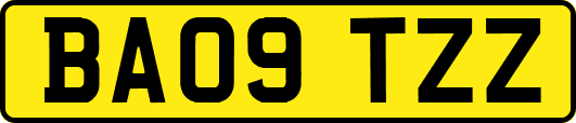BA09TZZ