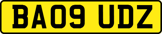 BA09UDZ