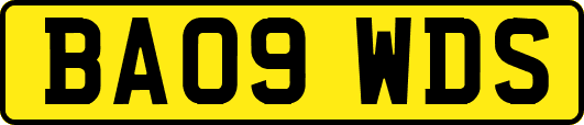 BA09WDS
