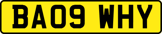 BA09WHY