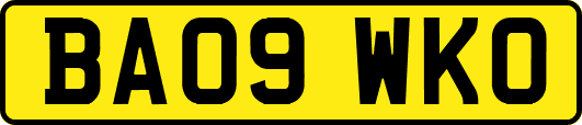 BA09WKO
