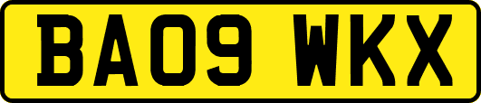 BA09WKX