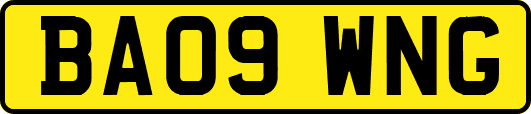 BA09WNG