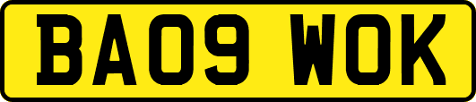 BA09WOK