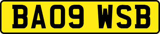 BA09WSB
