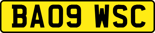 BA09WSC