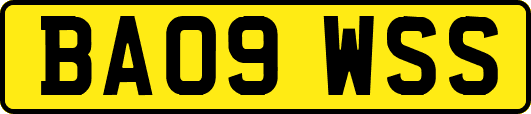 BA09WSS