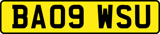 BA09WSU