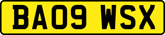 BA09WSX