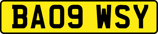 BA09WSY