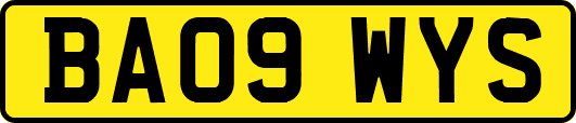 BA09WYS