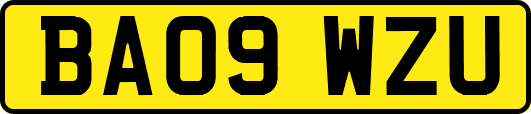 BA09WZU