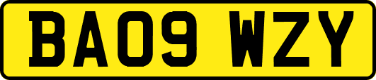 BA09WZY