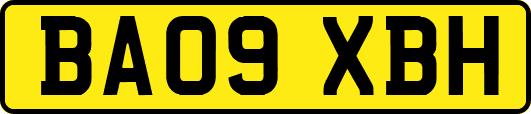 BA09XBH