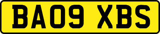 BA09XBS