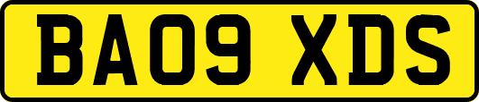 BA09XDS