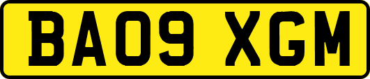 BA09XGM