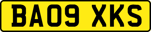 BA09XKS