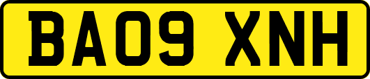 BA09XNH