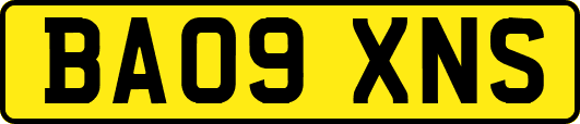 BA09XNS