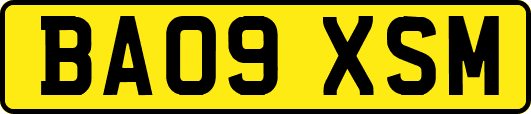 BA09XSM