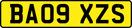 BA09XZS