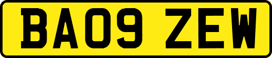 BA09ZEW