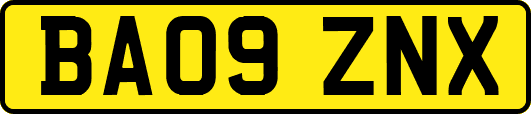 BA09ZNX