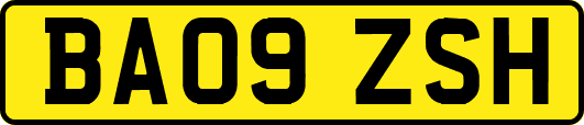 BA09ZSH