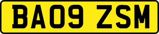 BA09ZSM