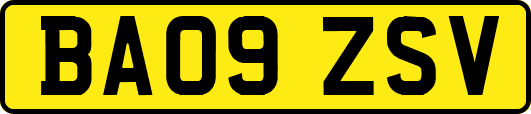 BA09ZSV
