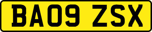 BA09ZSX