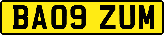 BA09ZUM