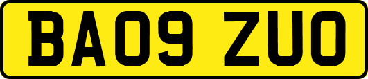 BA09ZUO