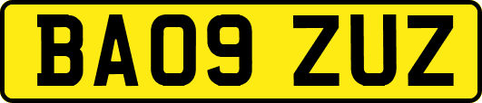 BA09ZUZ