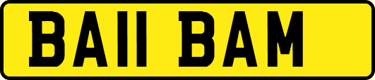 BA11BAM