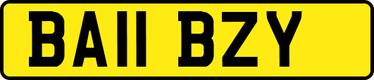BA11BZY