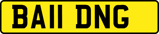 BA11DNG