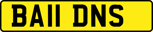 BA11DNS