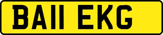 BA11EKG
